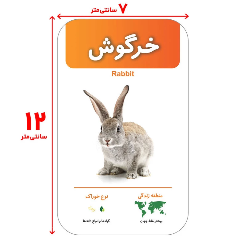 فلش کارت های آشنایی با حیوانات پستانداران انتشارات اندیشه کهن