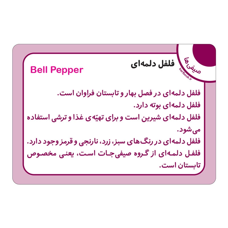 فلش کارت سبزی ها و صیفی ها انتشارات برف تصویر ۲