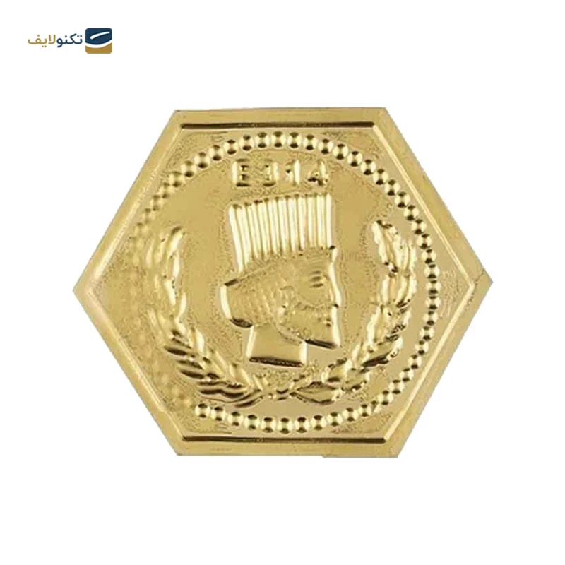 سکه پارسیان 1 گرم 18 عیار پایتخت تصویر ۳