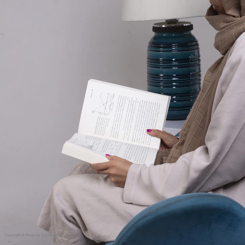 کتاب مبانی علم اقتصاد اثر گریگوری منکیو نشر نی تصویر ۴